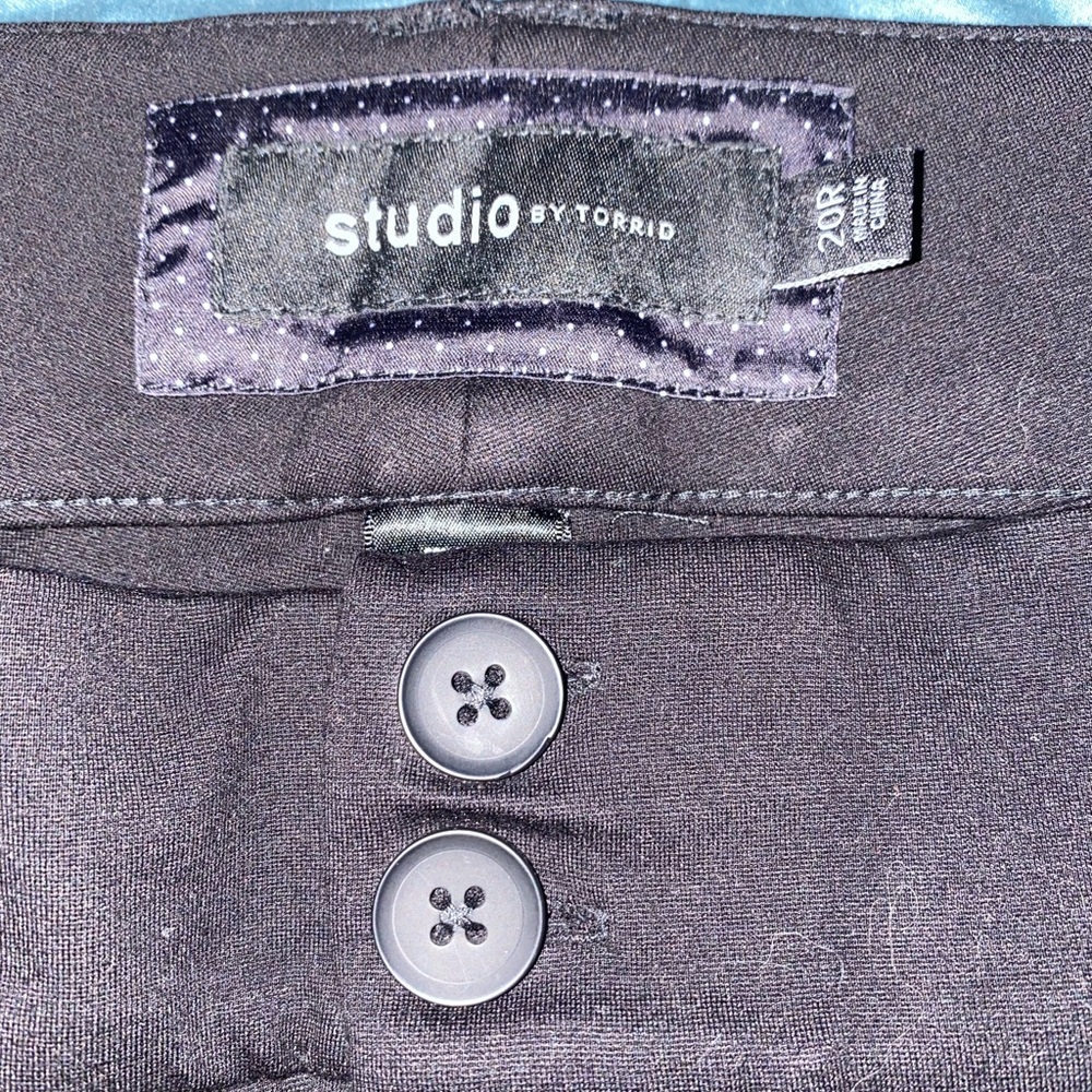Torrid dress pants